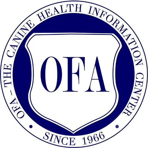 OFA Certificate Celtic Doods